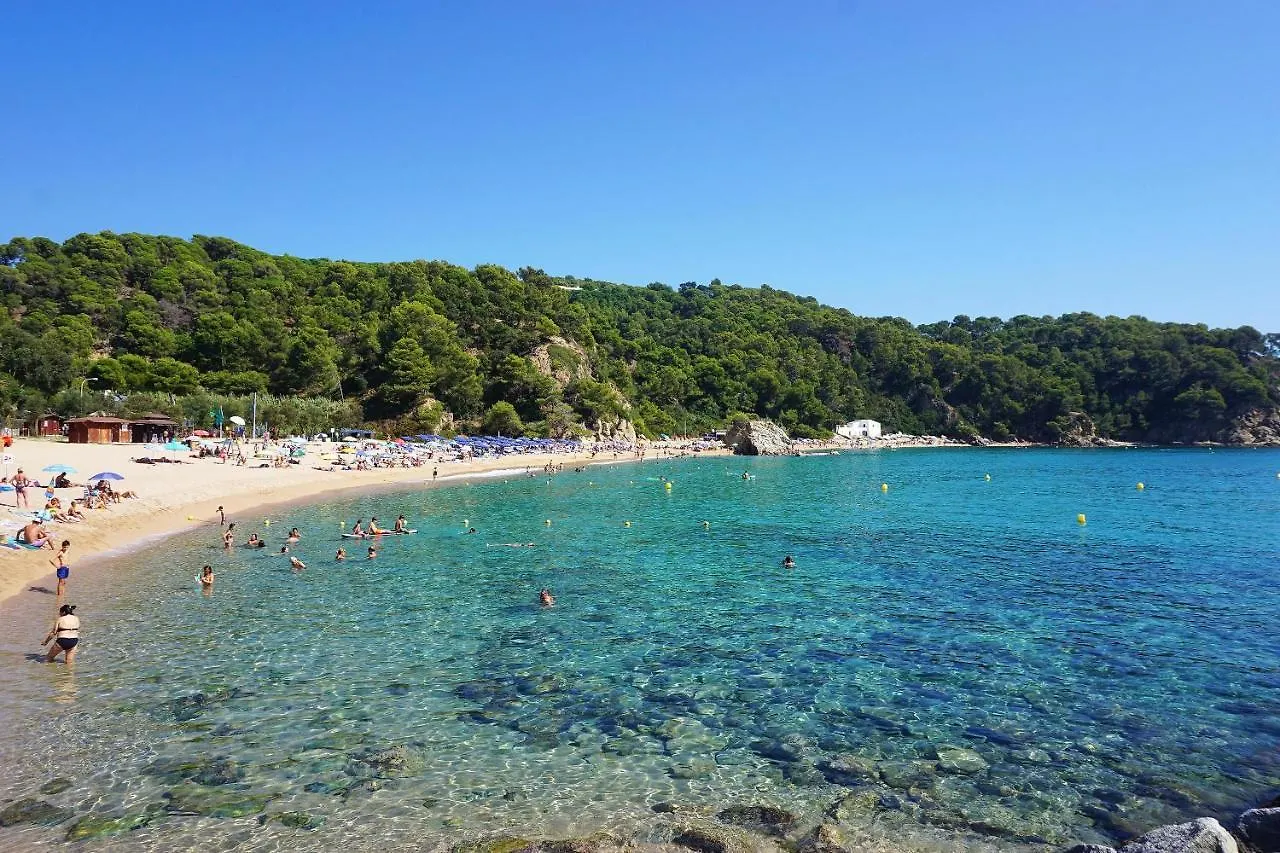 V&V Lloret: Garden Apartment with Pool, 150m from Canyelles Beach Lloret de Mar